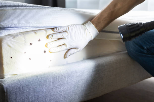 Best Exterminator Services  in Newberry, SC