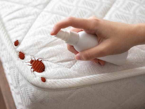 Best Best Pest Control Companies  in Newberry, SC