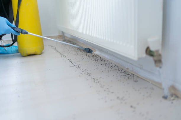 Best Best Pest Control Companies  in Newberry, SC