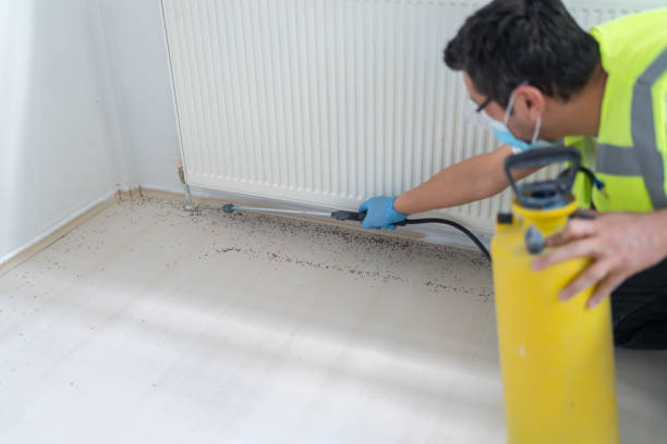 Best Pest Inspection Near Me  in Newberry, SC