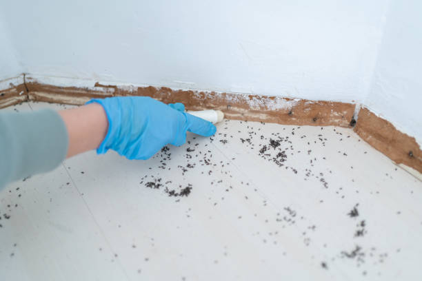 Newberry, SC Pest Control Company